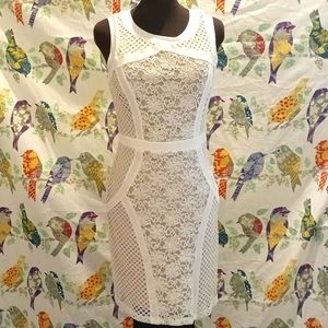 Cardalate Dress (QR)